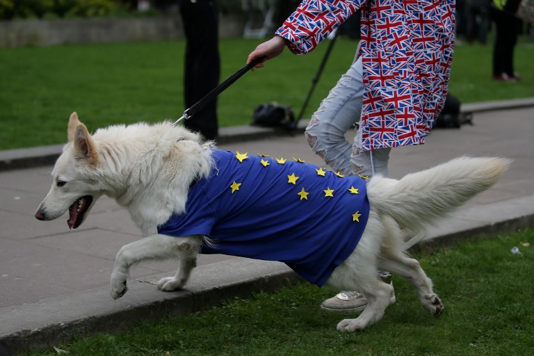 Pet travel after Brexit: Brits living in EU urged to visit vets