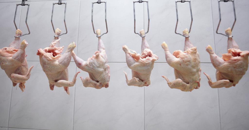 From Battlefield to Butcher: A History of Chlorine and the American Demand for Britain's Plates